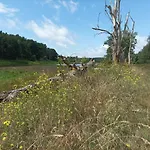 Σπίτι διακοπών Nad Warta Miedzychod