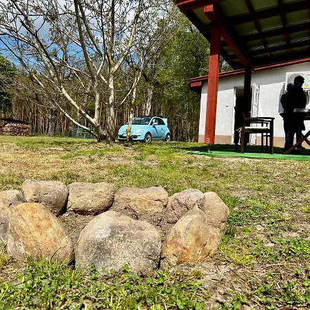 Nad Warta Miedzychod