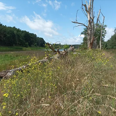 Feriehus Nad Warta Miedzychod