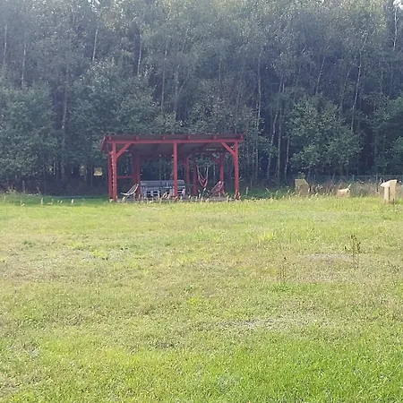 Nad Warta Miedzychod