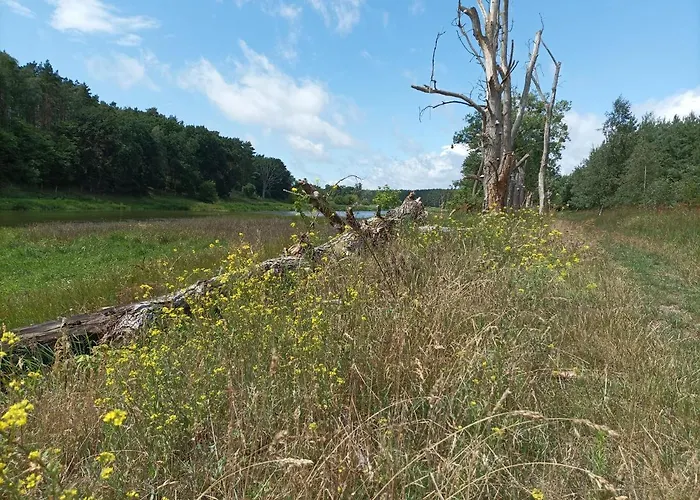 Holiday home Nad Warta Miedzychod