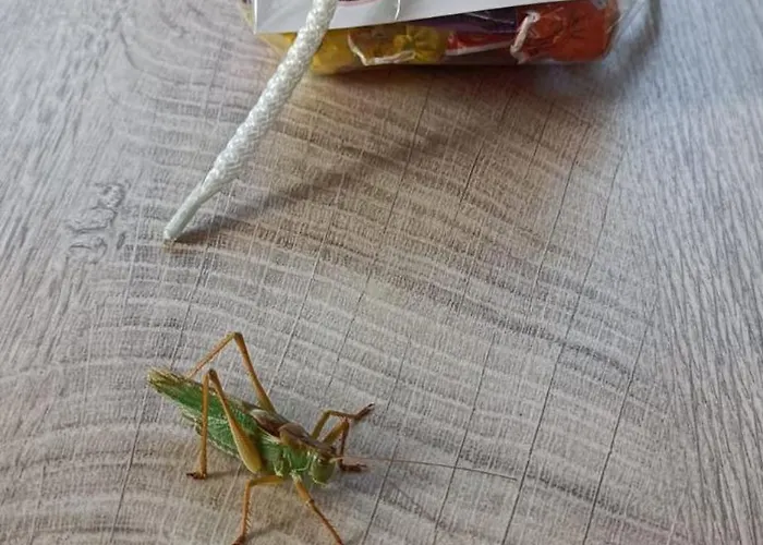 Vakantiehuis Nad Warta *