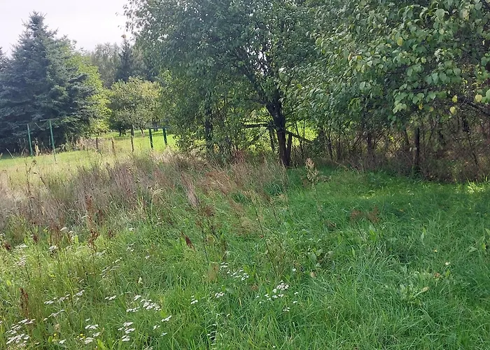 Nad Warta Holiday home *